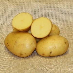 Love Potatoes | Best Potato Recipes | Potato House